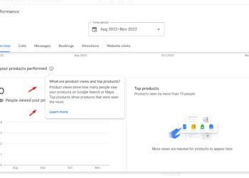 Top Products Featured in Google My Business Profiles Performance Reports