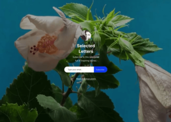 New Newsletter Platform Launched By WordPress.com