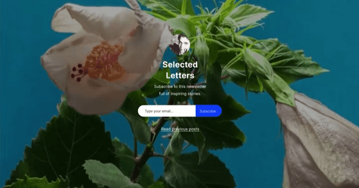 New Newsletter Platform Launched By WordPress.com