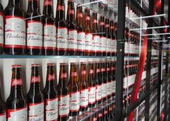 Beer Sales Are Banned At World Cup