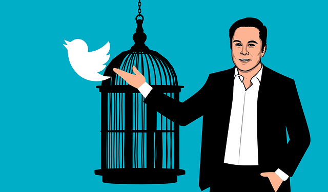 The Twitter ‘Verified Views’ Experiment