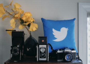 Twitter Security Without Paying Elon Musk