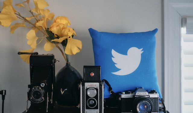 Twitter Security Without Paying Elon Musk