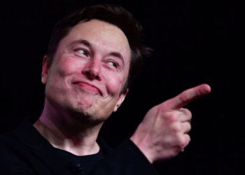 Musk Hints Fleets, Vine, And Periscope