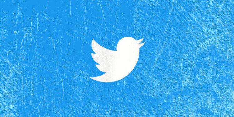 Twitter Blue Subscribers Will See Half Ads