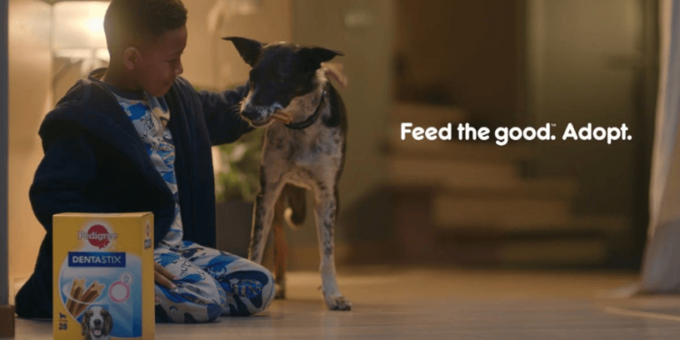 Mars Pet Nutrition Promotes Helen Warren-Piper