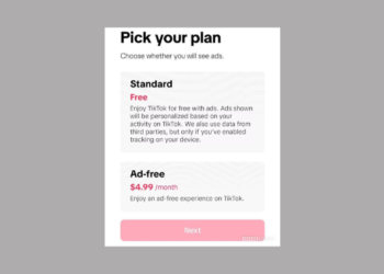 TikTok Explores Ad-Free Monthly Subscription