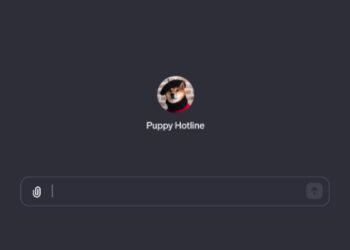 OpenAI Introduces Customizable ChatGPT