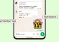 WhatsApp Upgrades Group Chats With New Personalization Tools